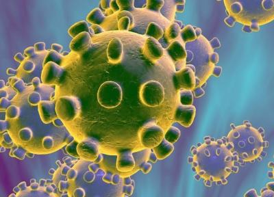ویروس کرونا؛ این ویروس چیست و چند نوع است؟